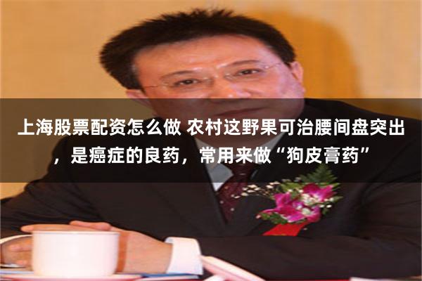 上海股票配资怎么做 农村这野果可治腰间盘突出，是癌症的良药，常用来做“狗皮膏药”