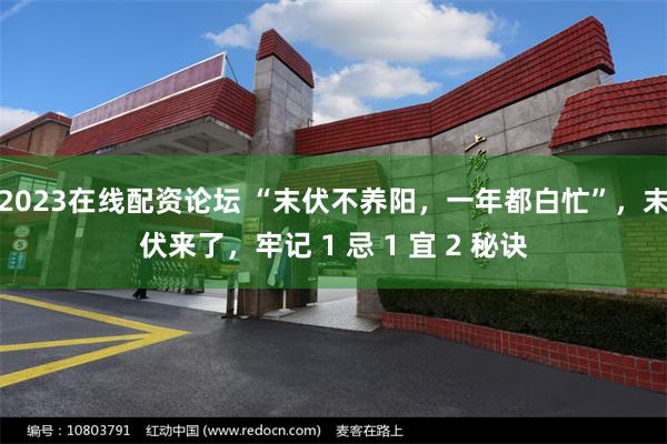 2023在线配资论坛 “末伏不养阳，一年都白忙”，末伏来了，牢记 1 忌 1 宜 2 秘诀