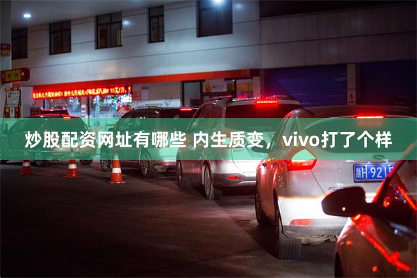 炒股配资网址有哪些 内生质变，vivo打了个样