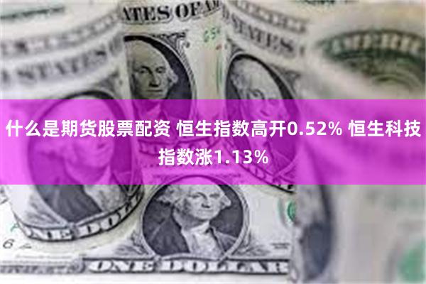 什么是期货股票配资 恒生指数高开0.52% 恒生科技指数涨1.13%