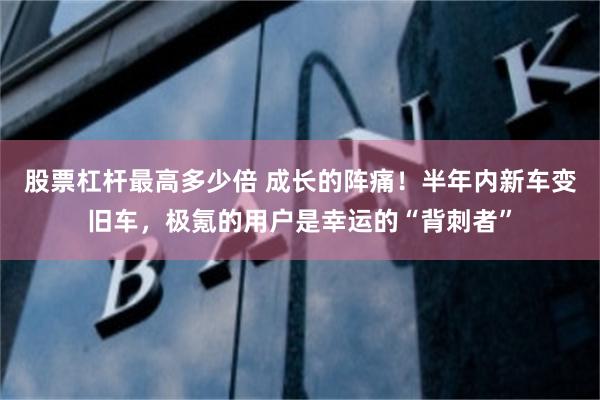 股票杠杆最高多少倍 成长的阵痛！半年内新车变旧车，极氪的用户是幸运的“背刺者”