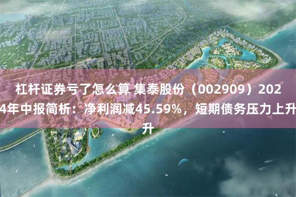 杠杆证券亏了怎么算 集泰股份（002909）2024年中报简析：净利润减45.59%，短期债务压力上升