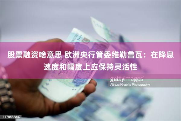 股票融资啥意思 欧洲央行管委维勒鲁瓦：在降息速度和幅度上应保持灵活性