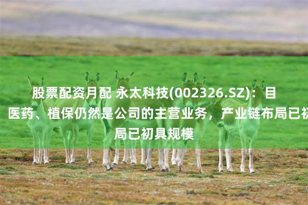 股票配资月配 永太科技(002326.SZ)：目前锂电、医药、植保仍然是公司的主营业务，产业链布局已初具规模