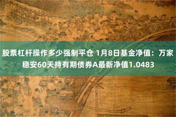 股票杠杆操作多少强制平仓 1月8日基金净值：万家稳安60天持有期债券A最新净值1.0483