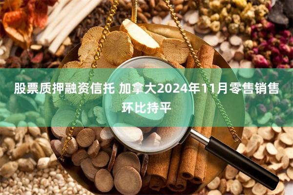 股票质押融资信托 加拿大2024年11月零售销售环比持平