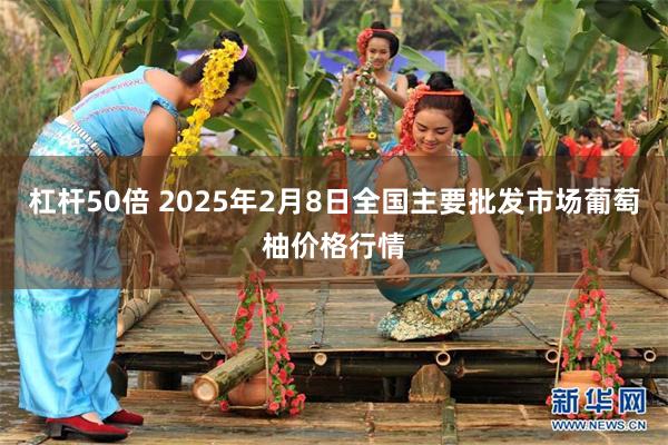 杠杆50倍 2025年2月8日全国主要批发市场葡萄柚价格行情