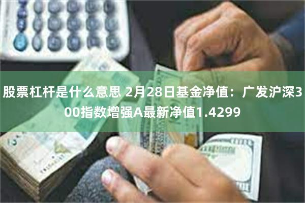 股票杠杆是什么意思 2月28日基金净值：广发沪深300指数增强A最新净值1.4299