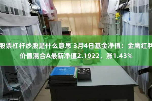 股票杠杆炒股是什么意思 3月4日基金净值：金鹰红利价值混合A最新净值2.1922，涨1.43%